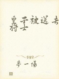 皇子被送去犒劳将士封面
