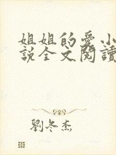 姐姐的爱小帆小说全文阅读
