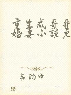 重生成哥哥的未婚妻小说免费阅读