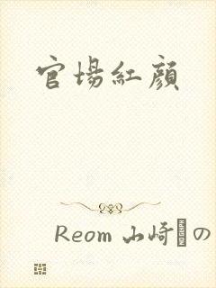 官场红颜