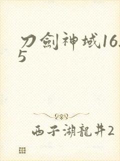 刀剑神域16.5