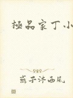 极品家丁小说