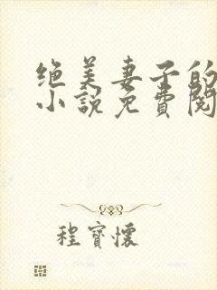 绝美妻子的秘密小说免费阅读封面