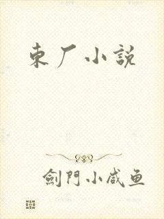 东厂小说