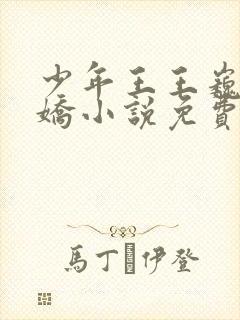 少年王王巍李娇娇小说免费听书在线