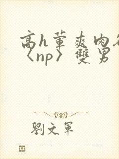 高h荤爽肉欲文〈np〉双男