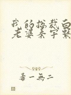 我的总裁白富美老婆秦宇系列小说