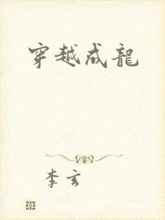 穿越成龙