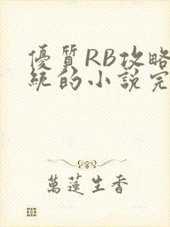 优质RB攻略系统的小说完整版