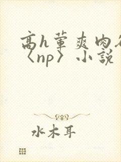 高h荤爽肉欲文〈np〉小说封面
