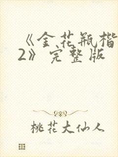 《金花瓶楷梅花2》完整版封面