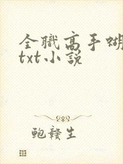 全职高手蝴蝶蓝txt小说