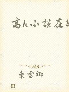 高h小说在线看