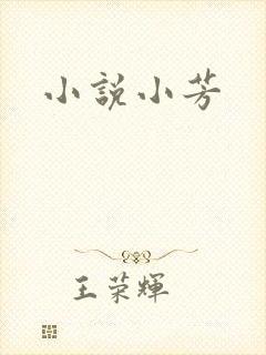 小说小芳