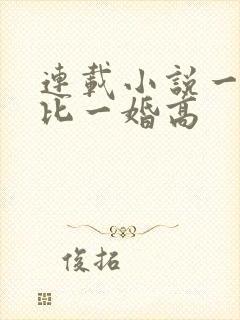 连载小说一婚更比一婚高