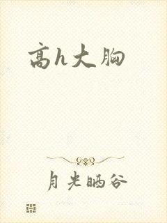 高h大胸封面