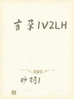 有孕1V2LH