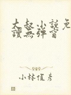 大叔小说免费阅读无弹窗