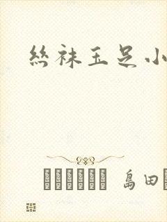 丝袜玉足小说封面