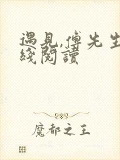 遇见,傅先生在线阅读