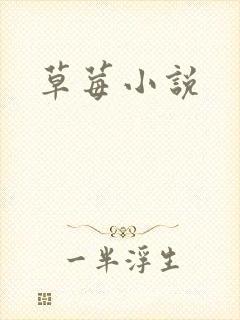 草莓小说封面