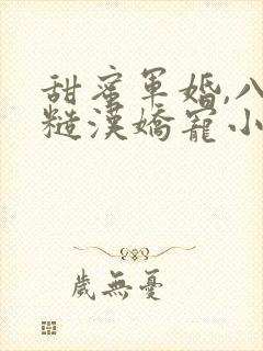 甜蜜军婚,八零糙汉娇宠小傻妻