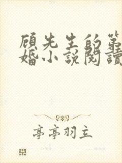 顾先生的第一宠婚小说阅读