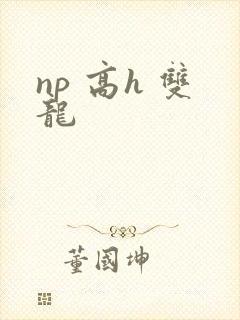 np 高h 双龙封面