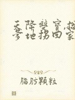 天降双宝,总裁爹地拐回家