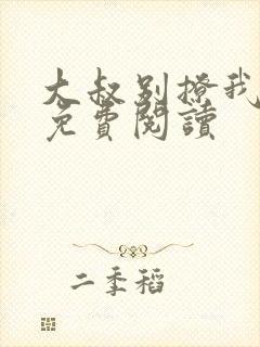 大叔别撩我小说免费阅读