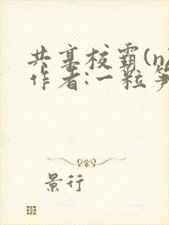 共享校霸(n)作者:一粒笋