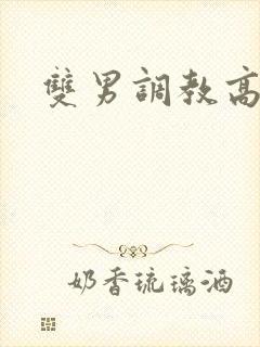 双男调教高h封面