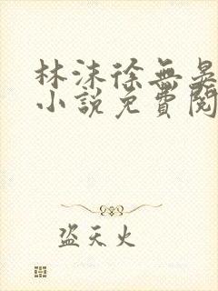 林沫徐无晏全文小说免费阅读封面