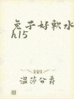 兔子好软水好多h15封面