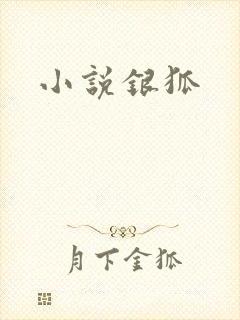 小说银狐