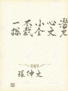 一不小心潜了个总裁全文免费阅读