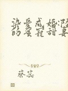 染爱成婚:陆少的蜜宠甜妻