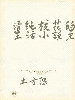清纯校花的日常生活小说免费阅读沈