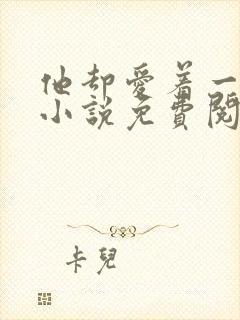 他却爱着一个他小说免费阅读全文