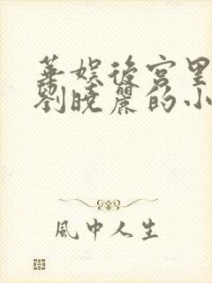 华娱后宫里面有刘晓丽的小说