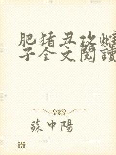 书籍封面