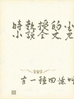时教授的小仙女小说全文免费阅读封面