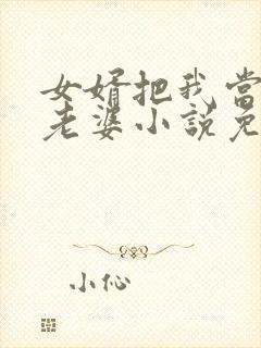 女婿把我当成他老婆小说免费阅读封面