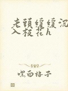 老头缓缓沉腰进入校花h封面