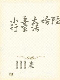 小妻太娇陆爷执行家法