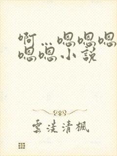 啊…嗯嗯嗯嗯嗯嗯嗯小说