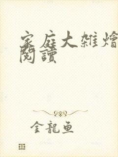 家庭大杂烩正版阅读