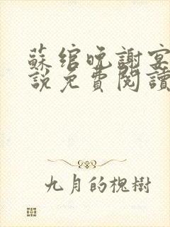 苏绾晚谢宴宁小说免费阅读无弹窗
