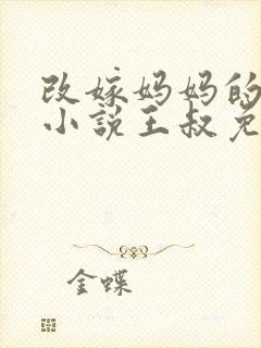 改嫁妈妈的悲惨小说王叔免费阅读