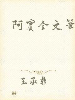 阿宾全文笔趣阁